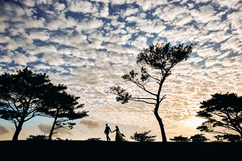 【海と！緑と！存分に♪】北部ビーチ＋21世紀の森♢自然に囲まれた公園♢写真データ＆アルバム付き