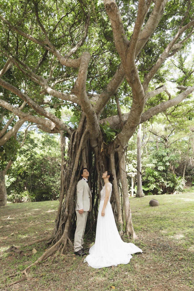 【まるで楽園!?】沖縄を満喫!熱帯ドリームセンター+北部ビーチフォト