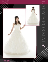 W−66 アメリカンスリーブ　2wayタイプ