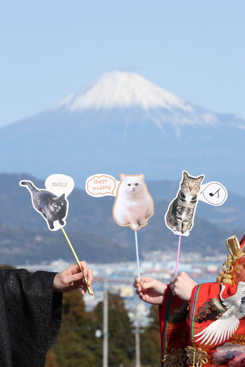 猫ちゃんのPOPと一緒に！