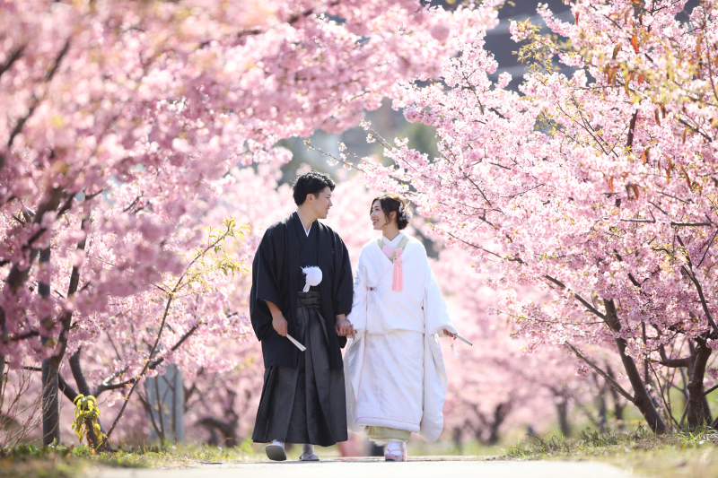 桜のトンネルで撮影が出来ました