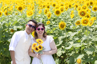 ひまわりロケーション撮影