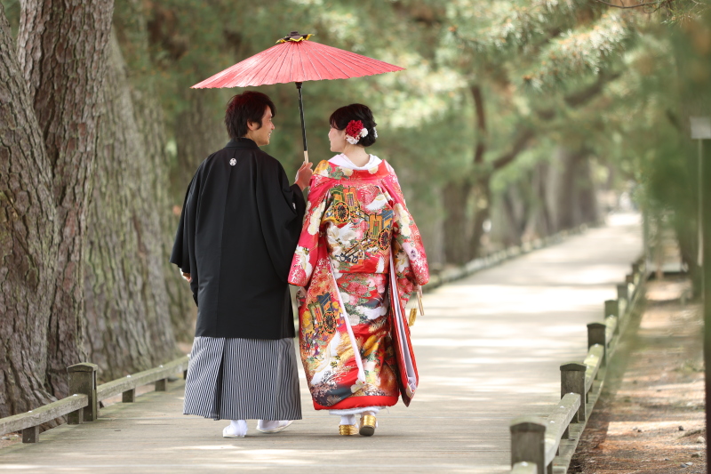 神の道の松並木