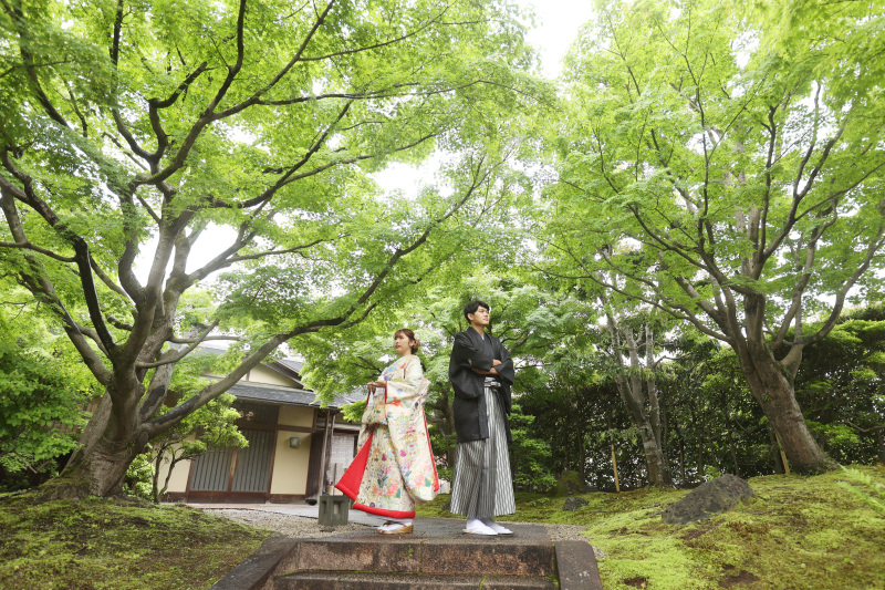 壮大な雰囲気の写真
