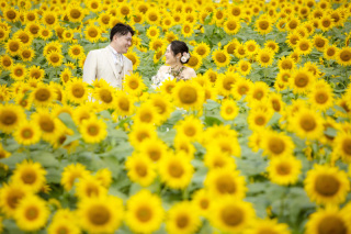 洋装ひまわりロケーション撮影