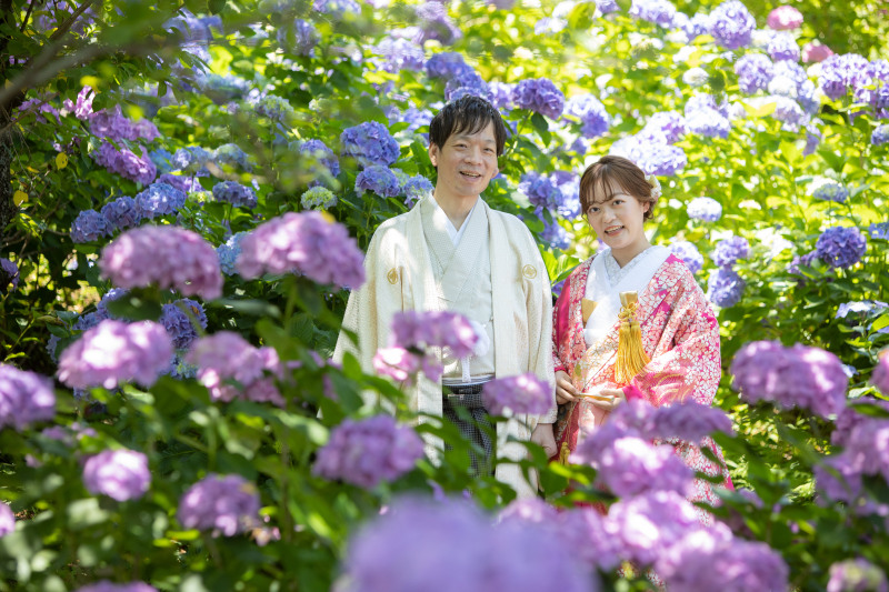 紫陽花