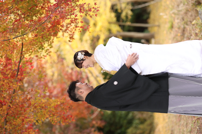 銀杏+紅葉