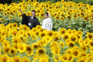 和装ひまわりロケーション撮影！