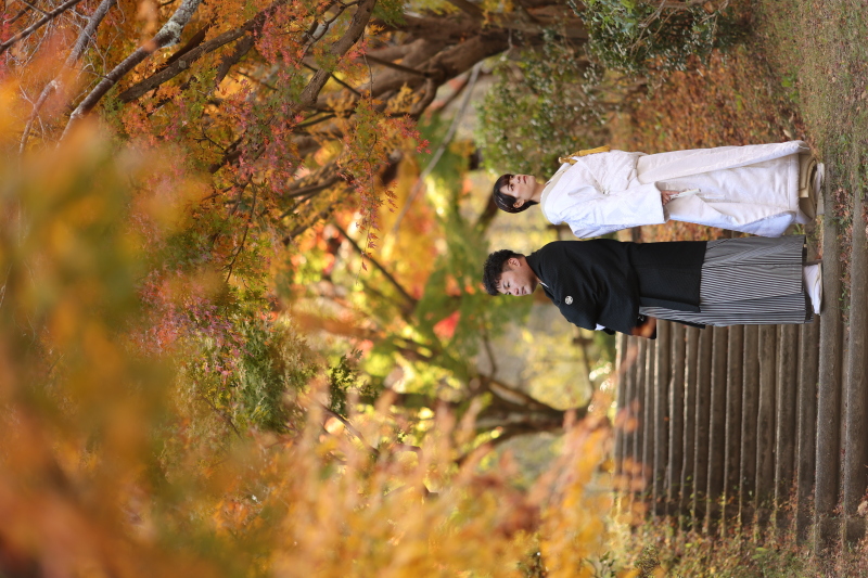 紅葉1