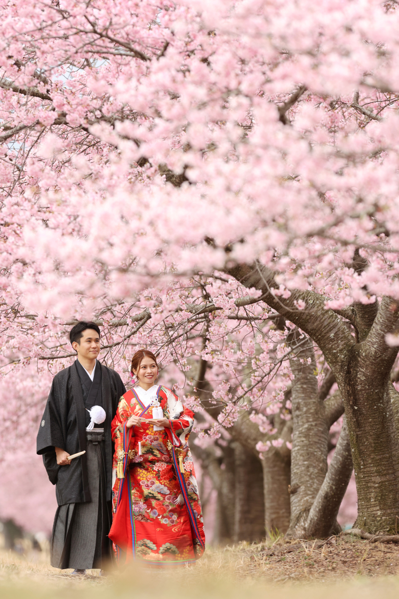 まずは桜並木で
