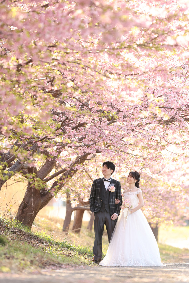 河津桜と洋装