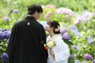 三保＋紫陽花の和装ロケーション撮影
