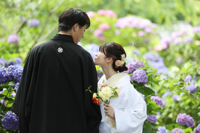 三保+紫陽花の和装ロケーション撮影