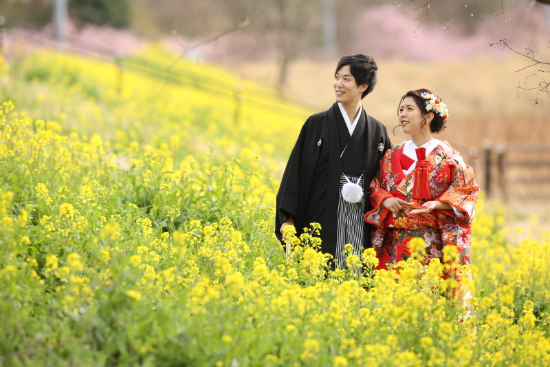 菜の花とも撮影していただけました♪