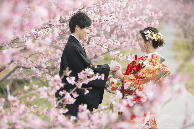 河津桜のロケーション撮影!