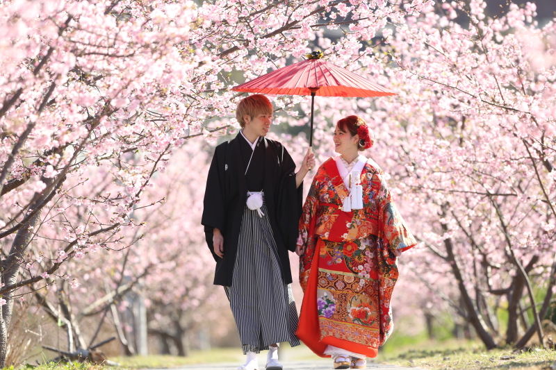 河津桜のトンネルで撮影したかった!