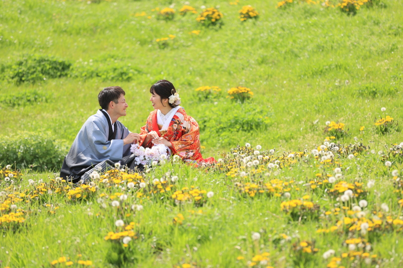 緑の芝生と黄色いたんぽぽの花