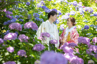 紫陽花ロケーション撮影