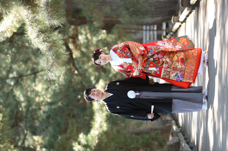 富士山の次は松並木で。