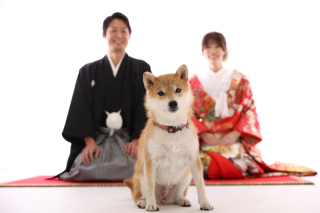 ペットとのフォトウエディング