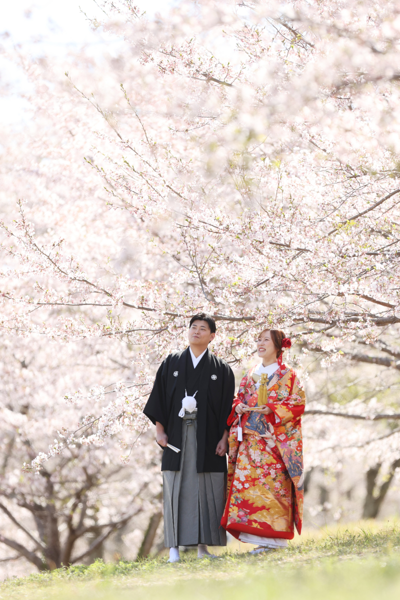 満開の桜