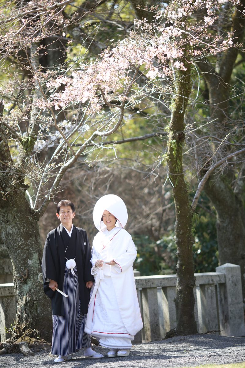 桜はまだ2部咲きでした。