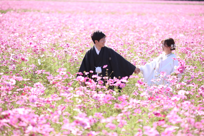 こんな写真が撮りたかった!