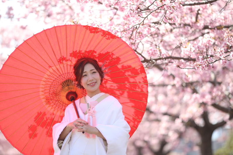 傘の写真が希望でした