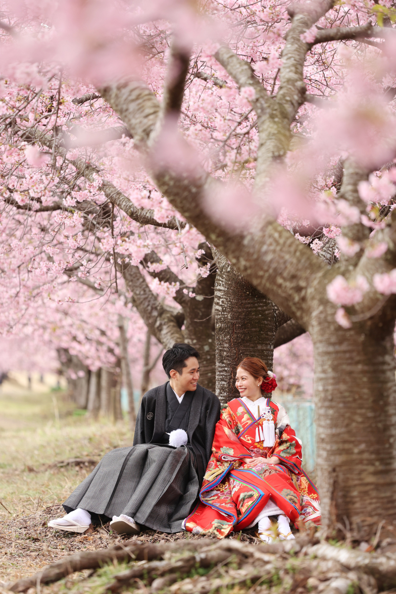 座りの写真も可愛い