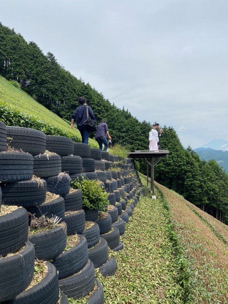 こんな急斜面ですが、景色は絶景です!