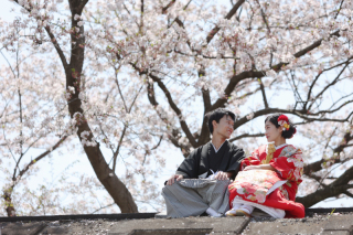 桜とロケーション撮影をしました！