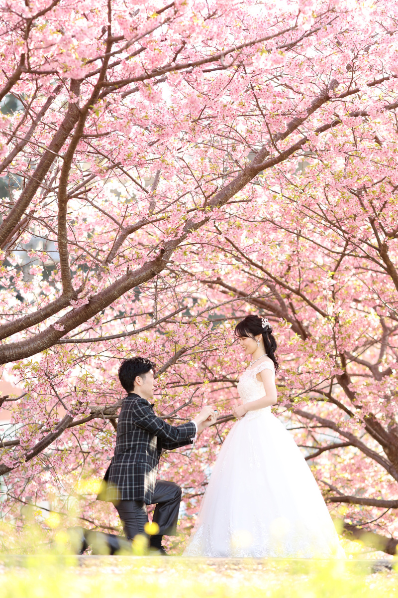 河津桜のトンネル