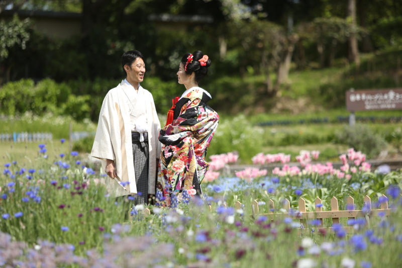 近くの場所でお花と撮影ができました。