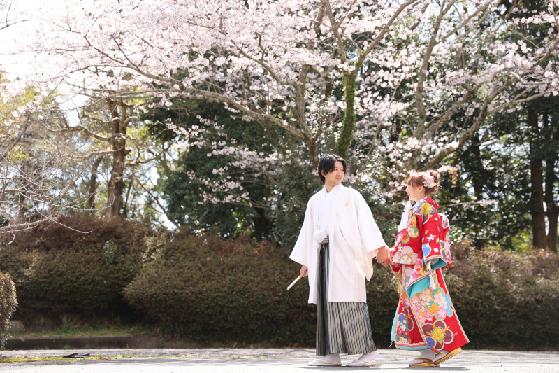 桜の木の下で