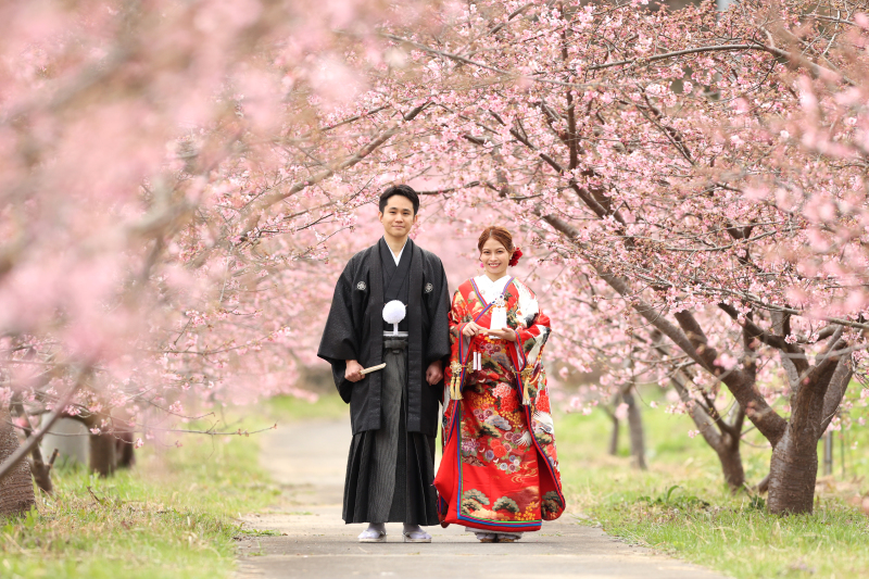最後は桜のトンネルへ