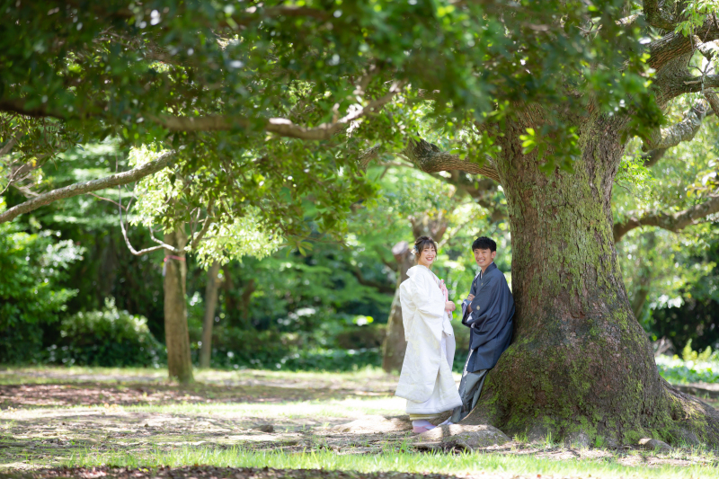 梅雨の時期の晴れ間に撮影ができました。