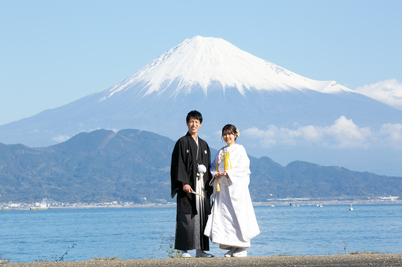 海越しに見える富士山は圧巻です
