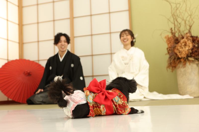 Kスタジオ 草薙店_ペットと一緒に撮影できる