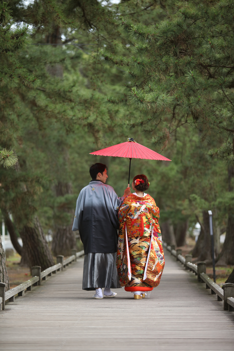 世界遺産の三保にある神の道