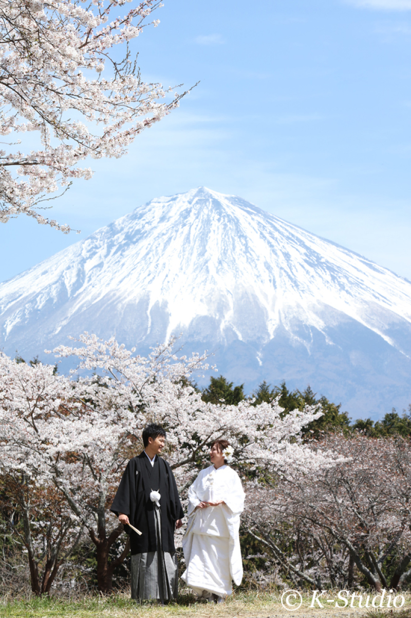 冬だというのに富士山に雪が少なく、また桜の咲くシーズンは春霞で富士山が隠れてしまう可能性が多いにも関わらず、天候も良く、富士山もくっきり見え、桜も咲き始めるというすごい幸運の重なった撮影でした。