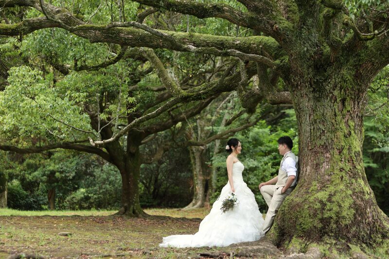 【洋装ロケーション撮影】嬉しい選べる特典付き！ 平日24％OFF 土日祝10％OFF ※11月末までに撮影の方限定