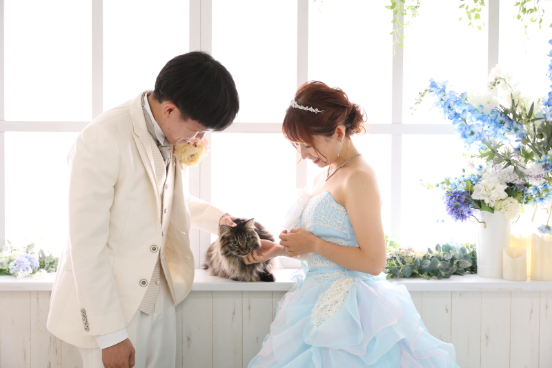【大切なペットと一緒にスタジオ撮影できるプランです】　【通年】（通常プラン）