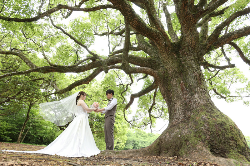 【洋装和装どちらかの衣裳でロケ撮影・どちらかの衣裳でスタジオ撮影】平日25％オフ 土日祝10％オフ ※10月末までに撮影の方限定