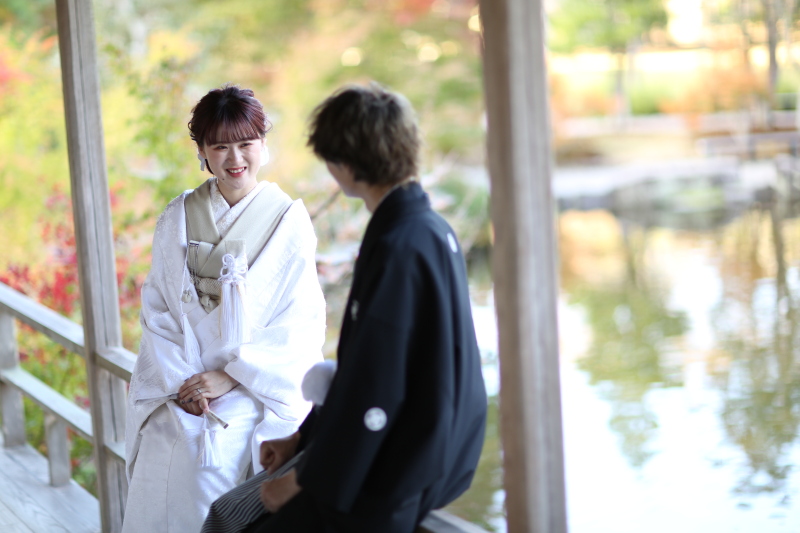 コスモス畑・玉露の里（庭園とお茶室での撮影）【通年】　※コスモス畑は10月〜11月頃