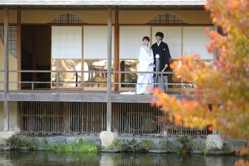 コスモス畑・玉露の里（庭園とお茶室での撮影）【通年】　※コスモス畑は10月〜11月頃