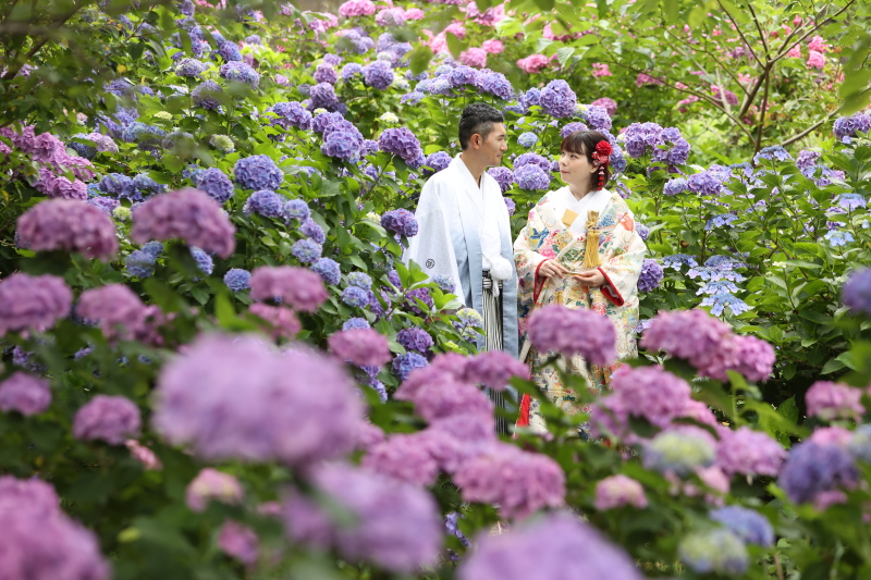 【早割】和装or洋装ロケーション撮影 30,000円OFF 4月末までにお申し込みの方限定割引