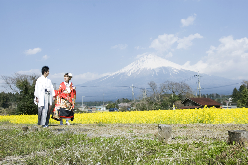富士山を背景に富士市、富士宮方面で撮影したいプラン　【通年】（通年プラン）