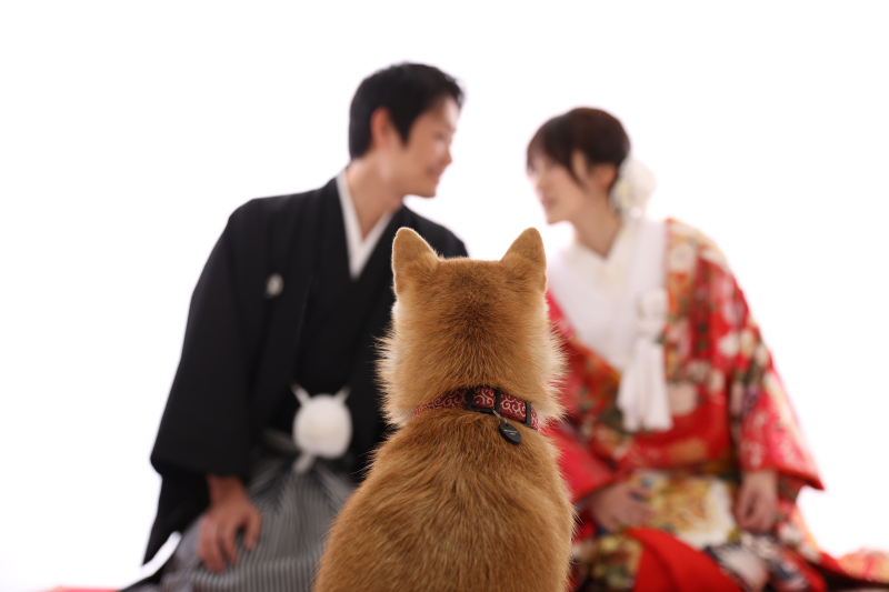 【大切なペットと一緒にスタジオ撮影できるプランです】　【通年】（通常プラン）