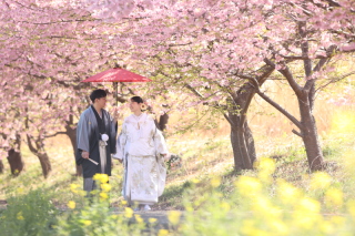 【早割】和装or洋装ロケーション撮影 30,000円OFF 12月末までにお申し込みの方限定割引