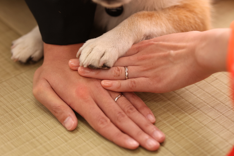 【大切なペットと一緒にスタジオ撮影できるプランです】　【通年】（通常プラン）